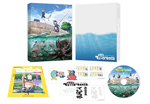 Diary Of Our Days At The Breakwater - Diary Of Our Days At The Breakwater Vol.1 - DVD+Book