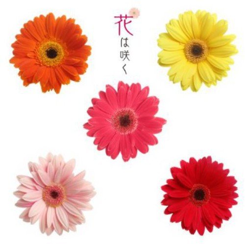 Various Artists - Hana Ha Saku NHK Orch. Flowers Will Bloom - Japan CD