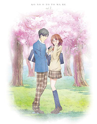 Animation - Kono Oto Tomare! Sounds of Life Vol.7 - Japan Blu-ray Disc