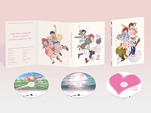 Animation - THE ROLLING GIRLS BLU-RAY BOX Blu-ray Box 5th Anniversary Special Edition - Japan Blu-ray Disc