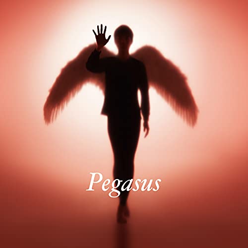 Tomoyasu Hotei - Pegasus - Japan 3 CD Limited Edition