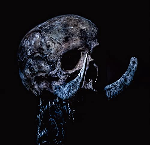 Absent In Body - Plague God - Japan CD