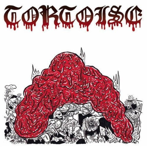 Tortoise - Why Waste Time? - Japan CD