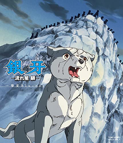 Animation - Ginga - Nagareboshi Gin - Ikkyomi Blu-ray - Japan Blu-ray Disc