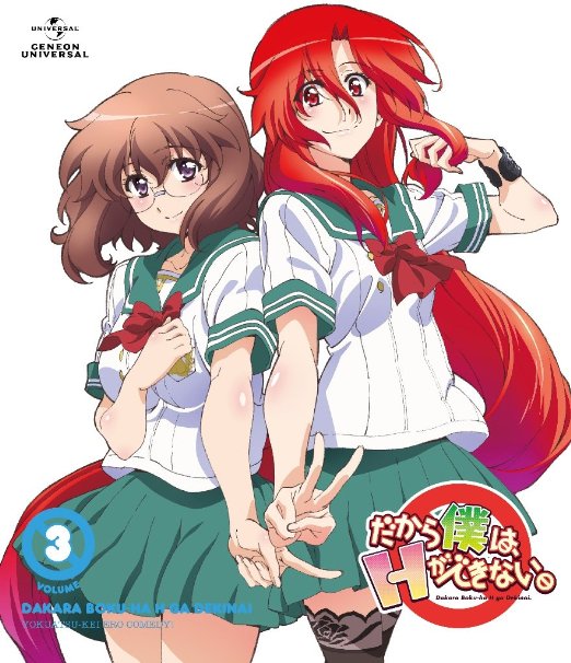 Animation - Dakara Boku wa, H ga Dekinai. Vol.3 - Japan DVD