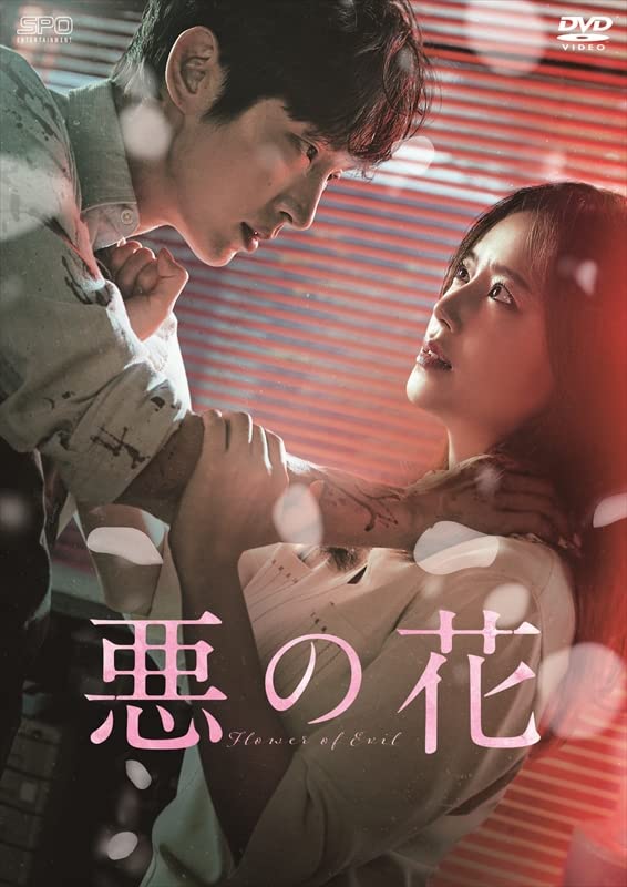 Movies & TV - Flower Of Evil DVD Box 2 <Simple BOX 5,000Yen Series> - Japan DVD Box