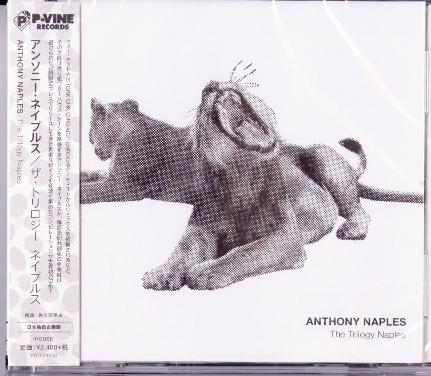Anthony Naples - Untilted - Japan CD Bonus Track
