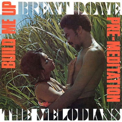 Brent Dowe & The Melodians - Build Me Up & Pre-Meditation - Import CD