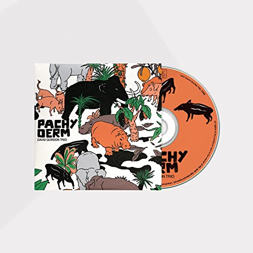 David Gordon Trio - Pachyderm - Import CD