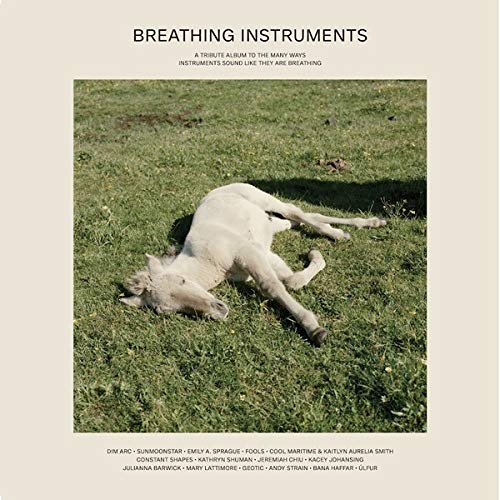 Various Artists - Breathing Instruments (Various Artists) - Import LP Record