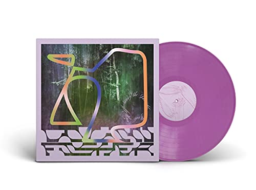 Colin Fisher - Reflections Of The Invisible World - Import Vinyl LP Record