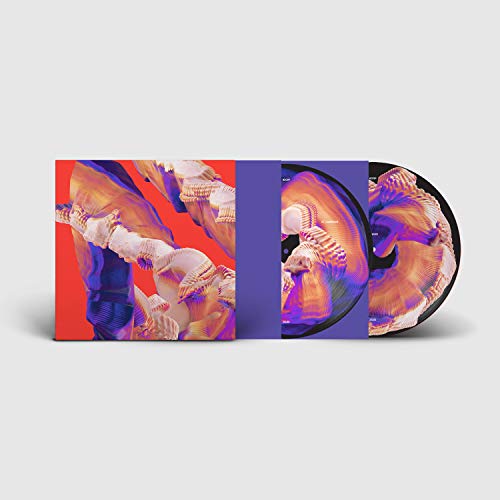 Bicep - Isles (PICTURE DISC) - Import LP Record