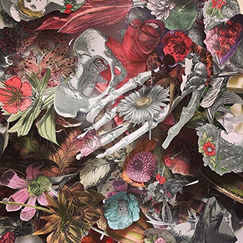 Tala Vala - Modern Hysteric - Import Vinyl LP Record