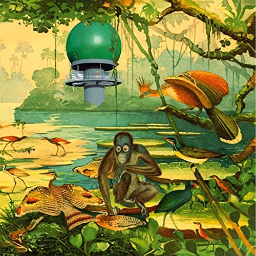 Various Artists - Radar 2 - Import Vinyl LP Record Limited Edition