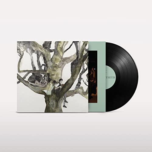 Destroyer (Rock) - Labyrinthitis - Import Vinyl LP Record