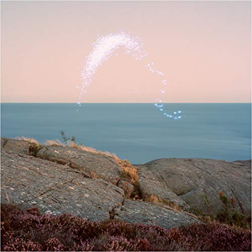 Cassandra Jenkins - An Overview On Phenomenal Nature - Import LP Record