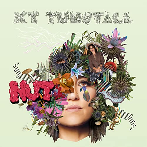 KT Tunstall - Nut<Colored Vinyl> - Import LP Record