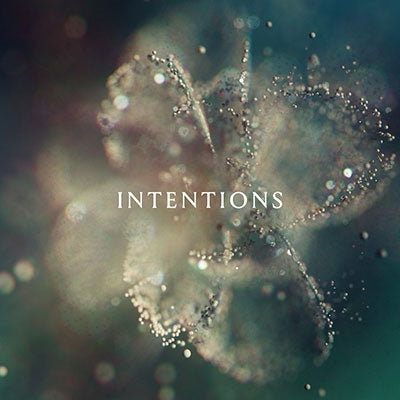 Anna - Intentions - Import LP Record