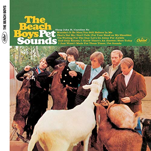 The Beach Boys - Pet Sounds: 50th Anniversary (Mono LP) - Import LP Record