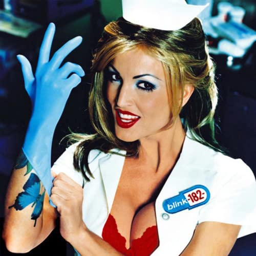 Blink-182 - Enema of the State - Import LP Record