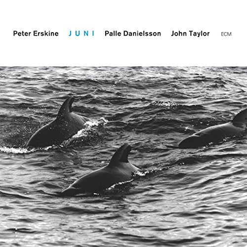 Peter Erskine Trio - Juni - Import CD