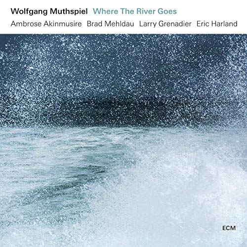 Wolfgang Muthspiel - Where The River Goes - Import LP Record