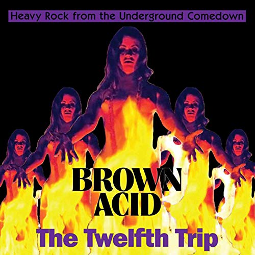 Various Artists - Brown Acid - The Twelfth Trip - Import LP Record