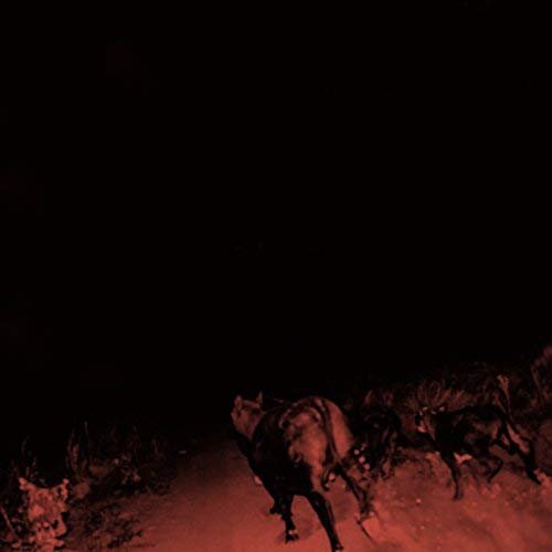 Bambara - Shadow On Everything - Import LP Record