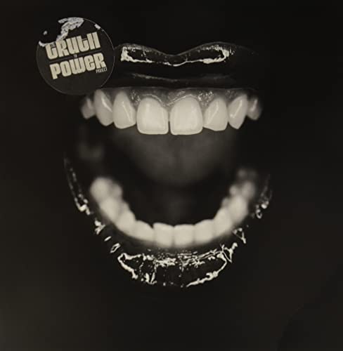 Various Artists - Truth To Power Project - Import Vinyl LP Record