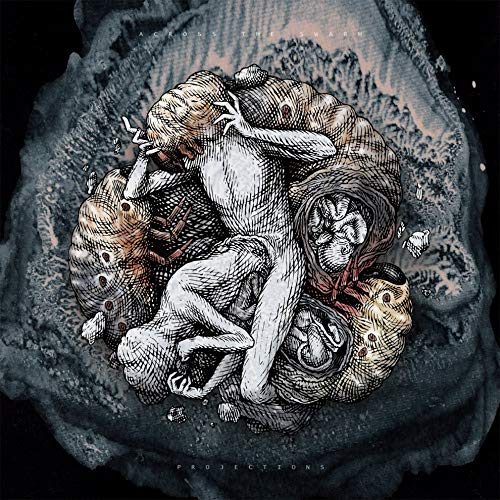 Across The Swarm - Projections - Import LP Record