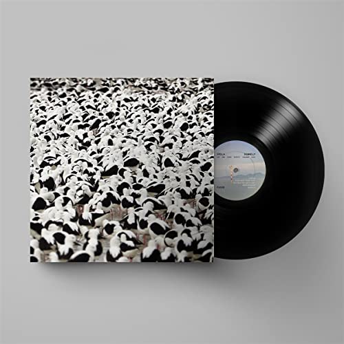 Stella Donnelly - Flood - Import LP Record