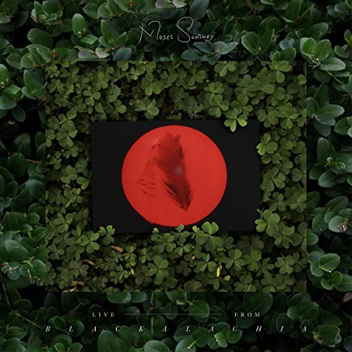 Moses Sumney - "Live" From Blackalachia <Colored Vinyl> - Import Vinyl LP Record