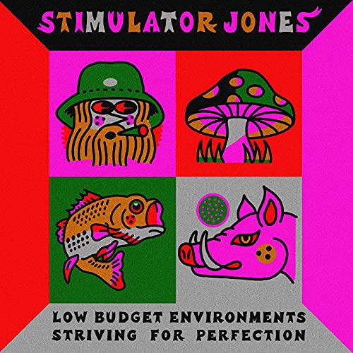 Stimulator Jones - Low Budget Environments Striving for Perfection - Import Vinyl LP Record