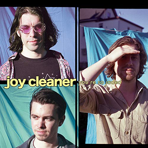 Joy Cleaner - You're So Jaded - Import Vinyl LP Record