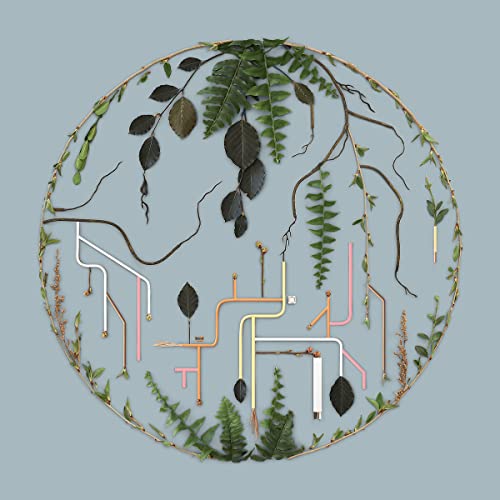 El Buho - Tributaries Vol. 2 - Import LP Record
