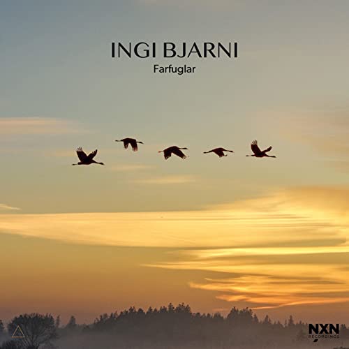 Ingi Bjarni Skulason - Farfuglar - Import CD