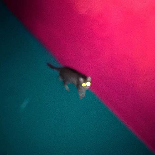 !!! - Wallop - Import LP Record