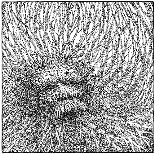 Nemorous - Nemorous<White/Black Vinyl> - Import Vinyl LP Record