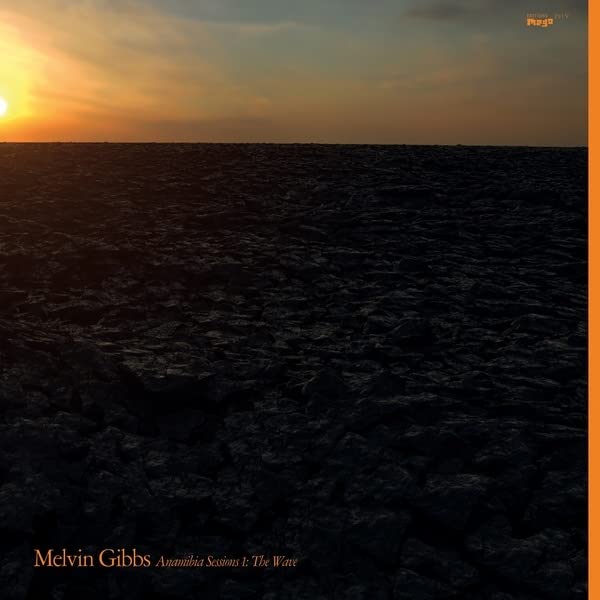 Melvin Gibbs - Anamibia Sessions 1: The Wave - Import LP Record