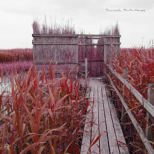Tenniscoats - Tan-Tan Therapy (2022 Remaster) - Import LP Record