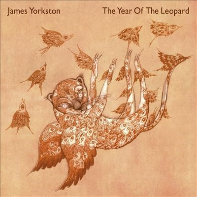 James Yorkston - The Year Of The Leopard - Import LP Record