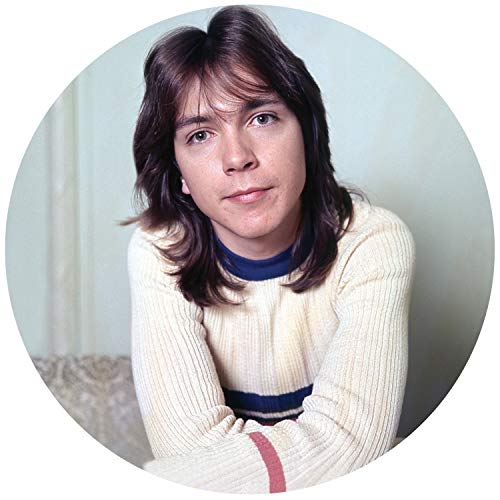 David Cassidy - I Think I Love You: Greatest Hits Live - Import LP Record