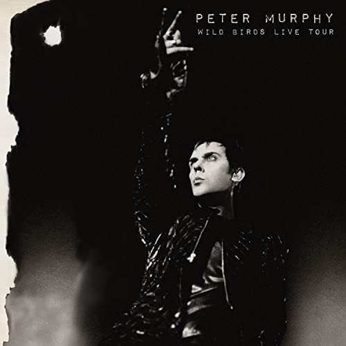 Peter Murphy - Wild Birds Live Tour - Import Vinyl LP Record