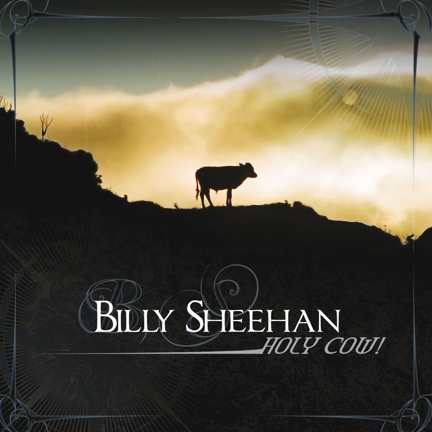 Billy Sheehan - Holy Cow - Import CD