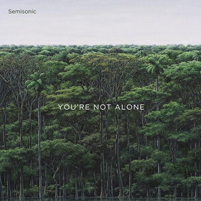 Semisonic - You're Not Alone - Import CD