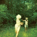 The World Is a Beautiful Place & I Am No Longer Afraid to Die - Harmlessness - Import CD