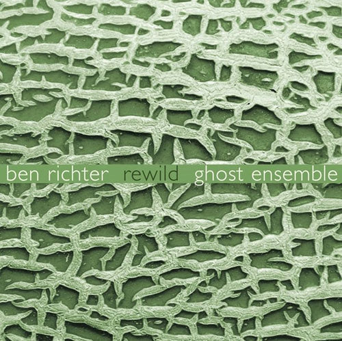 Ghost Ensemble - Ben Richter: Rewild - Import CD