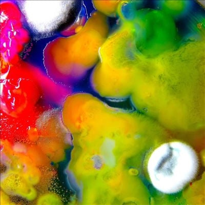 Guerilla Toss - Famously Alive - Import Vinyl LP Record