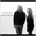 Raising Sand - Raising Sand - Import Vinyl 2 LP Record