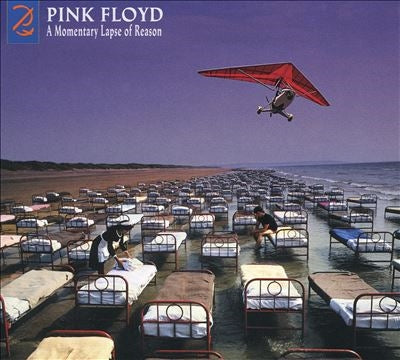 Pink Floyd - A Momentary Lapse of Reason (2019 Remix) - Import Vinyl LP Record